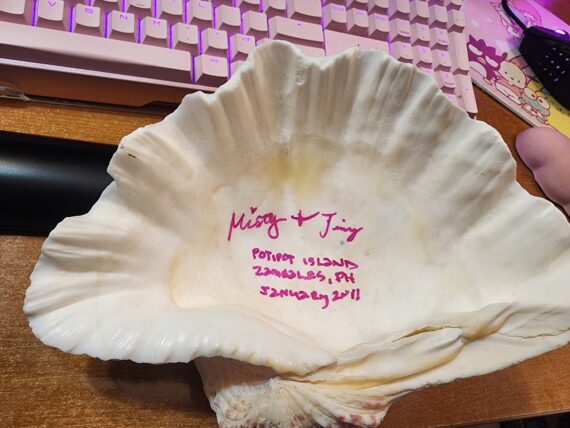 meraki counseling treasured moments shell - Misty Relos